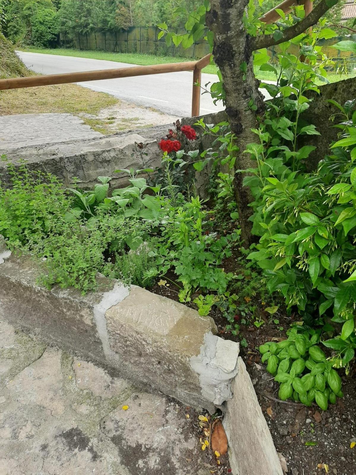 Appartamento Il Caminetto Carpinone Esterno foto