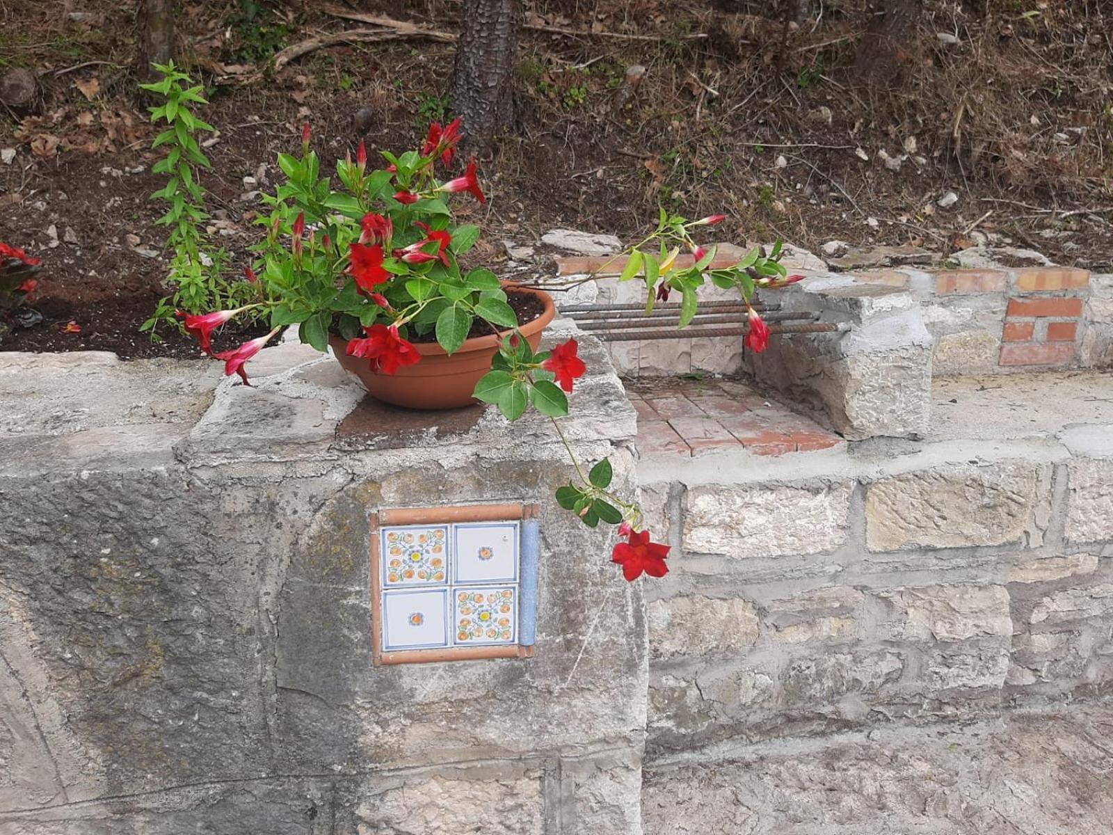 Appartamento Il Caminetto Carpinone Esterno foto